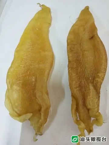 黄花鱼鱼胶多少钱一斤 大黄花鱼胶多少钱一斤