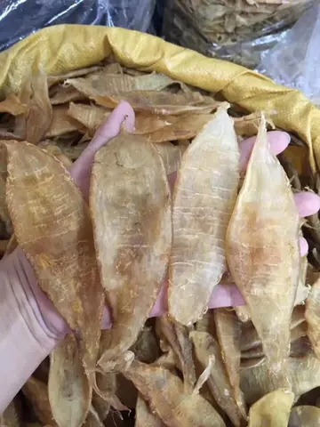 小米鱼胶的做法与功效与作用(吃花胶和燕窝对身体有哪些帮助？)