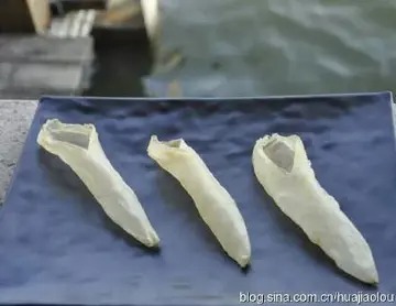 黄花鱼胶过期了还能吃吗(珍藏了三十年的鱼胶还能再吃吗？)