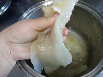 宝宝花胶鸡汤的做法 海参小米粥的做法