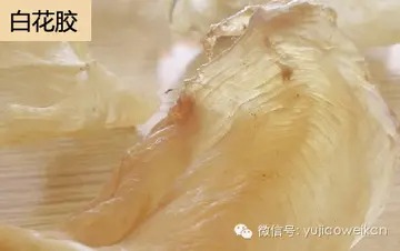 花胶鸡味道怎么样(福州哪里的花胶鸡比较好吃？)
