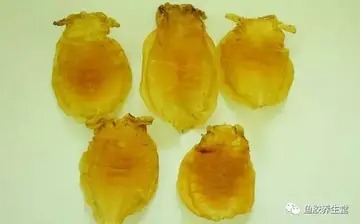花菇焖花胶的做法 冬菇焖花胶的做法