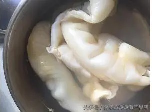 孕妇吃鱼胶炖莲子好吗(孕期鱼胶怎么吃最好？)