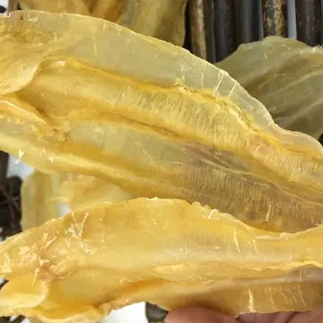 鱼胶煮莲子银耳红枣的功效(海鱼胶可以和鸡肉红萝卜一起炖吗？)