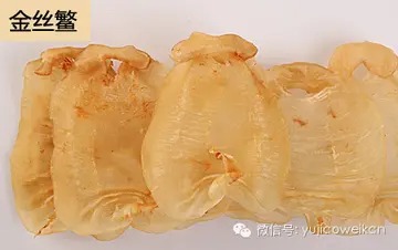 干鳗鱼胶的泡发(鳗鱼花胶如何泡发？)