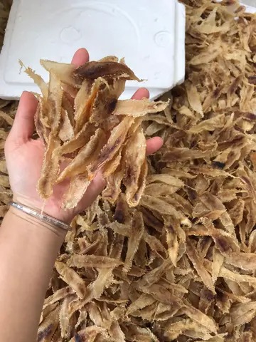 花胶能下奶吗(月子里可以吃花胶汤吗?花胶有催奶的作用么？)