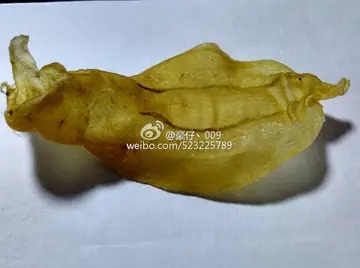 花胶炖完会有腥味怎么办(怎么炖鱼胶才会不腥？)