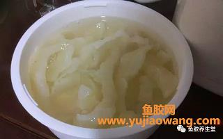 鱼胶炖好没有膨胀(新鲜鱼胶怎么炖最好的)