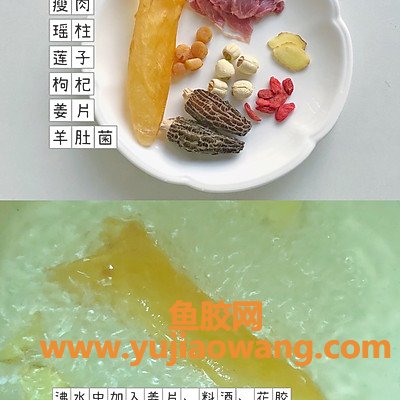 羊肚菌炖鱼胶瘦肉（花胶煲羊肚菌的功效）