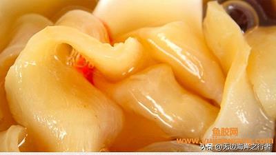 日本深海鱼胶的吃法（深海鱼胶的功效与作用及食用方法）