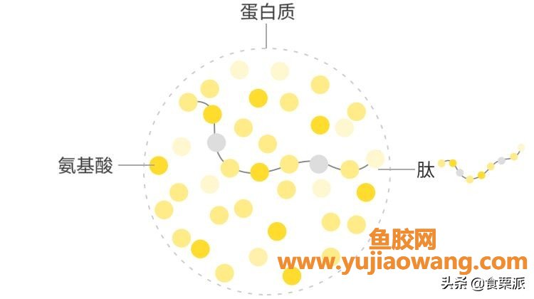 鱼胶原蛋白肽孕妇敢吃吗（孕期喝胶原蛋白肽的好处）