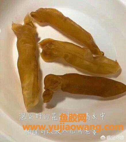 泡鱼胶要用什么水(鱼胶要泡多久？)