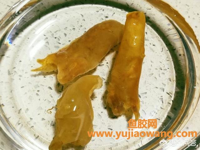 牛奶黄花鱼胶怎么做好吃(牛奶炖花胶的正宗做法是什么？牛奶炖花胶怎