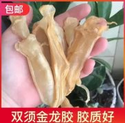 小产后能吃鱼胶吗(鱼胶产妇能吃吗，有哪些注意事项呢？)