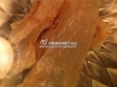 鱼胶可以跟当归一起煲汤吗(海参花胶炖汤可以放当归吗？)