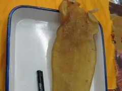 木瓜鱼尾鱼胶汤的做法(木瓜和什么煲汤最好？)