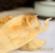 鱼胶红参怎么吃最好(红参怎么吃才有好的效果？)