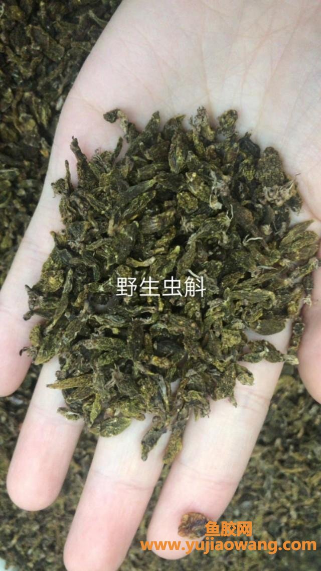 铁皮石斛炖鱼胶吗(一般正品铁皮石斛粉价格是多少啊？)