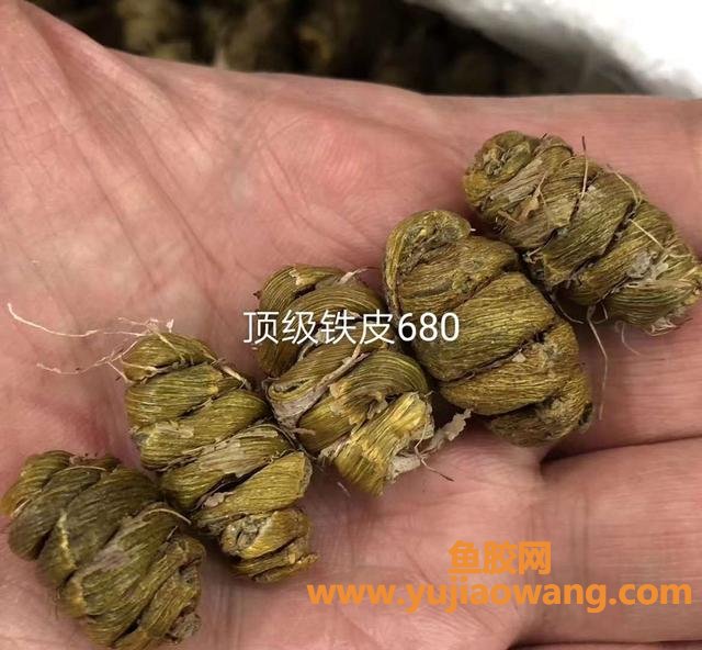 铁皮石斛炖鱼胶吗(一般正品铁皮石斛粉价格是多少啊？)