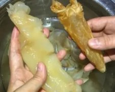 为什么经期不能吃鳗鱼胶(为什么经期不可以吃桃胶？)