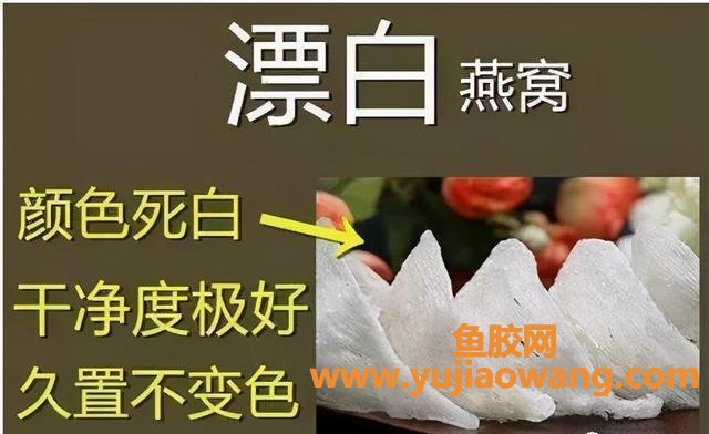 燕窝的功效与作用禁忌(燕窝的吃法及禁忌)