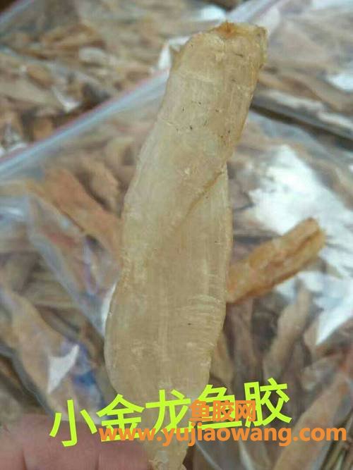 金龙小鱼胶的功效及吃法(小鱼胶的功效及吃法大全)