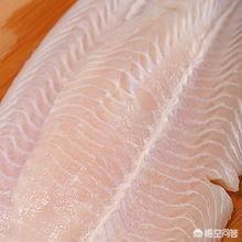 越南巴沙鱼胶多少钱一斤(花胶价格是多少钱一斤？)