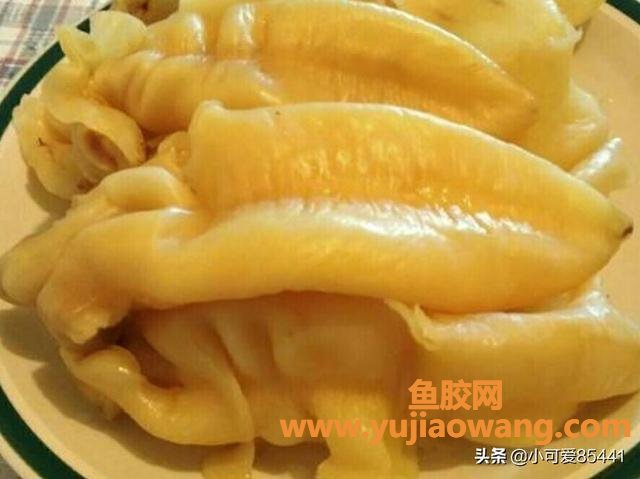 鱼胶能和小米一起煮吗(鱼㬵怎么炖？炖多长时间好？)