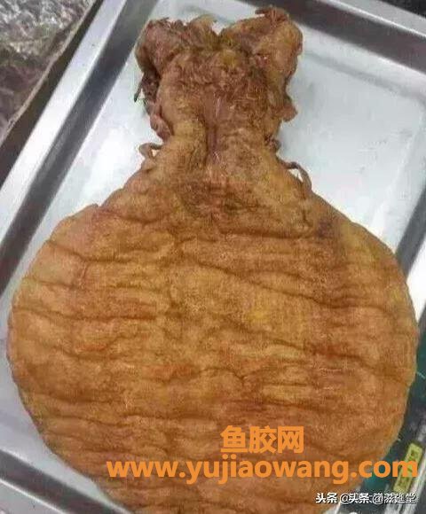 土鳘鱼胶(哪个品种什么鱼胶最好？)