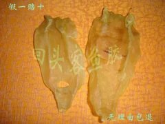 蜘蛛鱼胶的功效(准备买鱼胶，有什么好的品牌推荐？\r
)