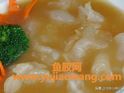 鱼胶作用及食用方法(鱼胶怎么吃最好？)