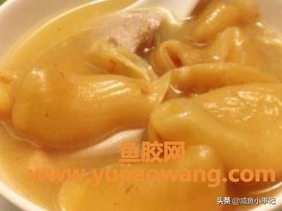 鱼胶作用及食用方法(鱼胶怎么吃最好？)