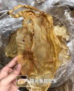 房胶鱼胶价格(哪个品种什么鱼胶最好？)