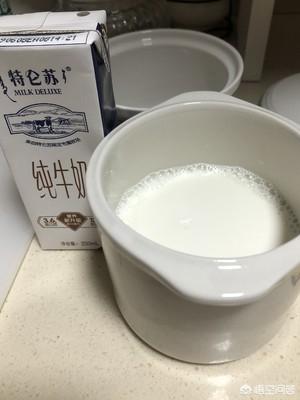鲜奶炖花胶的最佳方法(牛奶炖花胶的正宗做法是什么？牛奶炖花胶怎样