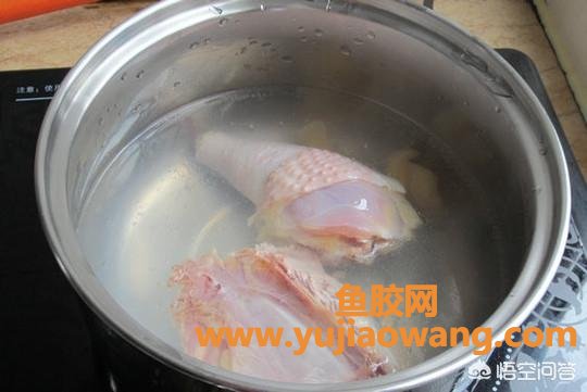 鱼胶炖鸡(花胶煲鸡汤的做法？)
