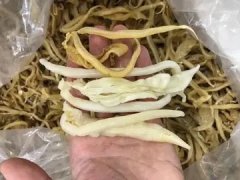 鱼胶怎么煮没有腥味(鱼胶怎么煮才能去除腥味？)