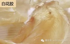 花胶鸡味道怎么样(福州哪里的花胶鸡比较好吃？)