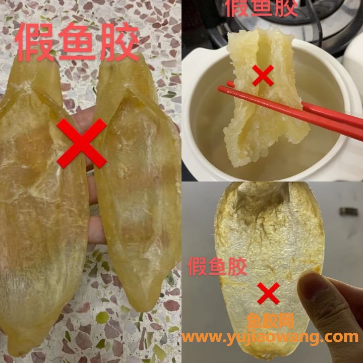 (鱼胶要怎么看才知道是正品)阿正鱼胶_科普一下真假鱼胶的知识