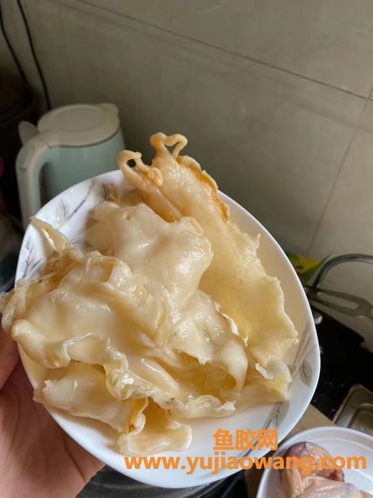 (椰子汁炖鱼胶的功效与作用)海南椰子肉煲出的鱼胶汤，味道真是绝了