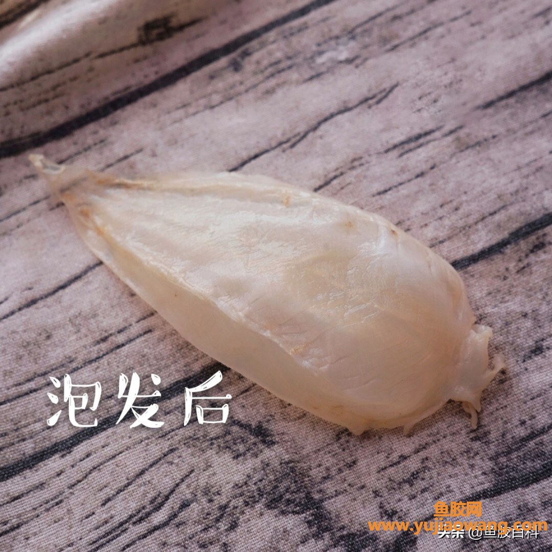 (美容用哪种鱼胶好)鱼胶中的名贵品种_印尼野生白花胶究竟是什么神仙