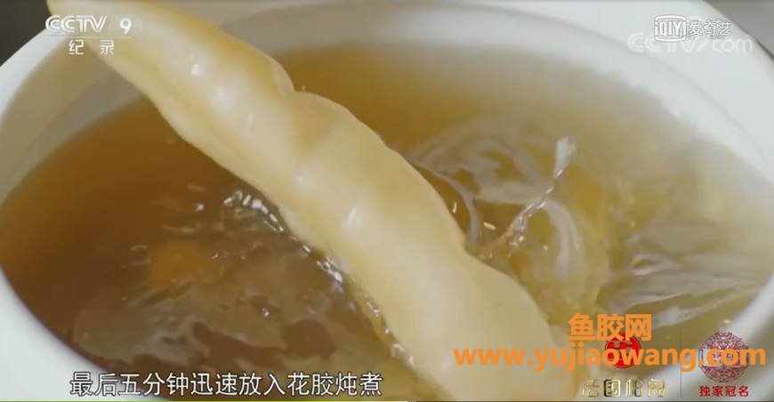 (港式鱼胶煲汤的做法)广式的花胶炖鸡汤终于上《舌尖中国3》啦!但我的