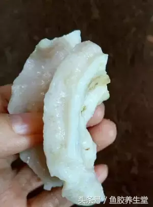 (新西兰鳕鳘鱼胶怎么泡)用这个方法泡发花胶，每一口下去都是满满的胶