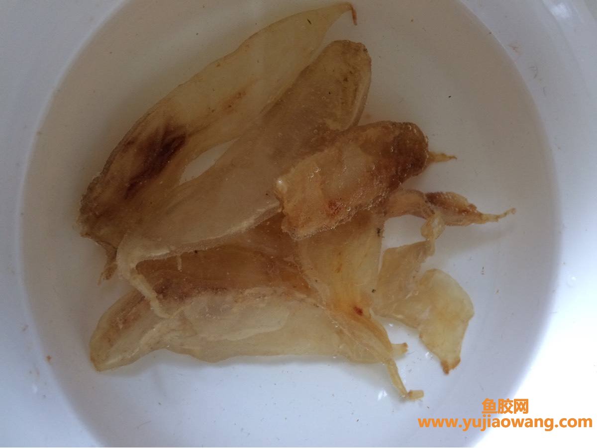 (新西兰鳕鳘鱼胶怎么泡)2种最简单营养的鱼胶泡发方法