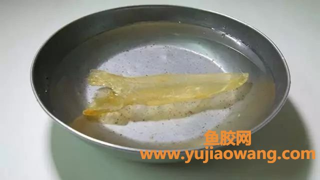 (鱼胶没放冰箱泡臭了)想要鱼胶泡发好，快学3个小技巧!营养不流失，满