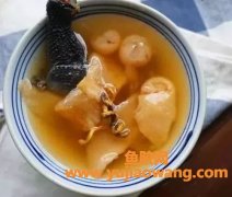 (鱼胶糯米红枣的功效与作用)春节鱼胶食谱大全，美味营养，全