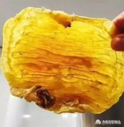 花胶沙参玉竹鸡汤(花胶煲什么汤好喝？)