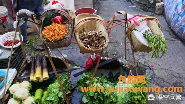 花胶 淮山 虫草花(姬松茸、花胶、山药、虫草花适合一起煲汤吗？)