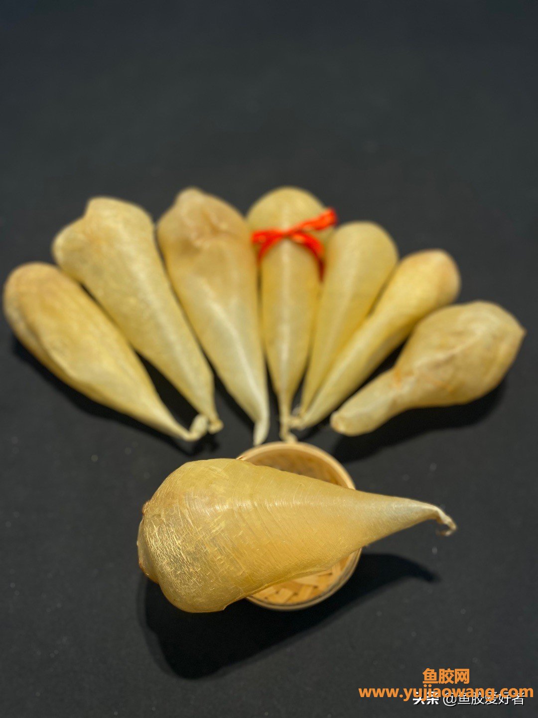 (什么鱼胶腥味最小)花胶中的爱马仕_白花胶的品种之分，如何区别你知