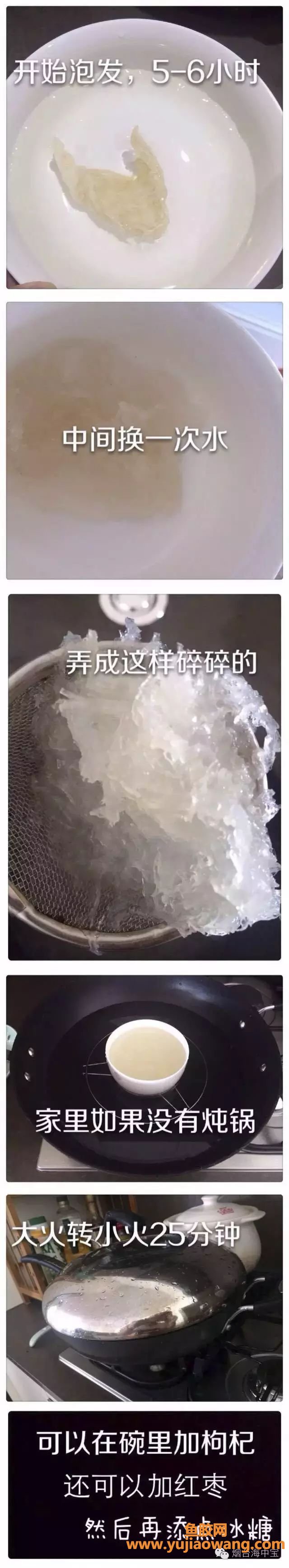 (鱼胶和海参的功效)最全燕窝,花胶,海参泡发攻略和用法