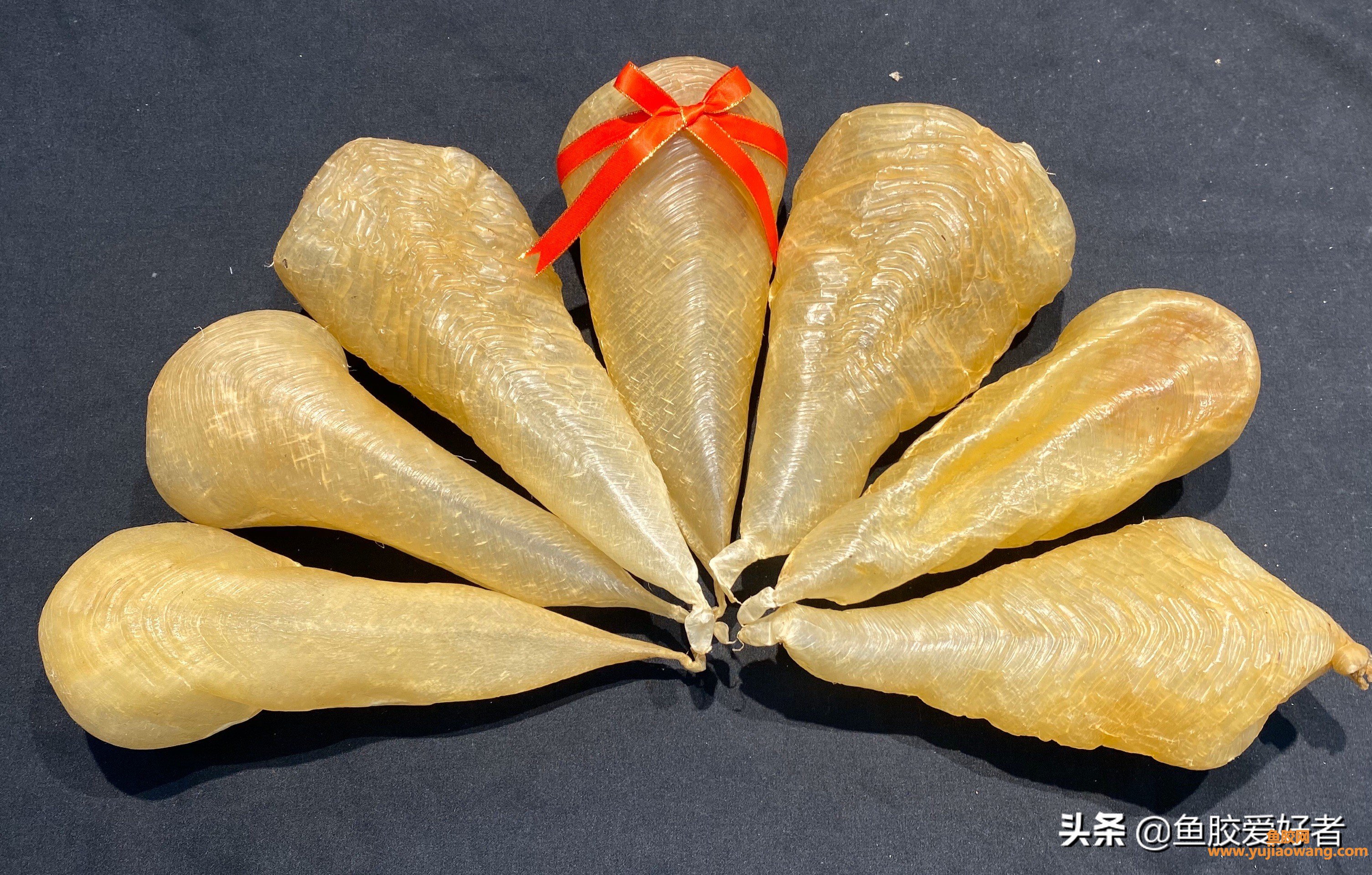 (香港买的鱼胶是什么牌子)花胶中的爱马仕_白花胶的品种之分，如何区